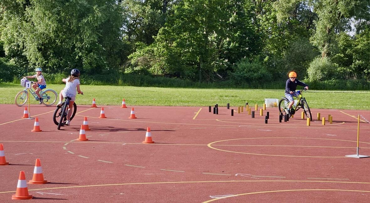 38f3530d-54b2-49eb-815b-7aa48d7e2798