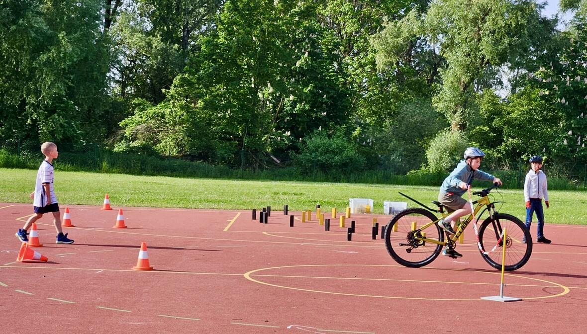 613eba0c-4e24-4583-97b4-16b0940b8053