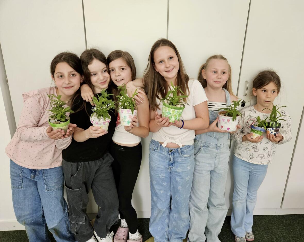 9c19f3c4-7476-45af-90df-1872b54fd554