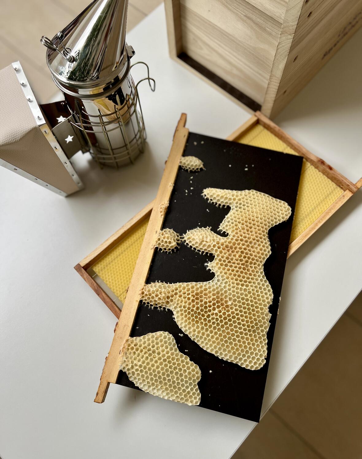 Honigwaben auf einem schwarzen Brett, daneben ein Rauchgerät und eine Holzbox für die Bienenzucht.