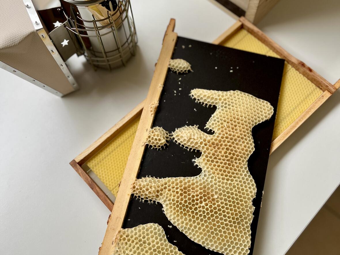 Honigwaben auf einem schwarzen Brett, daneben ein Rauchgerät und eine Holzbox für die Bienenzucht.