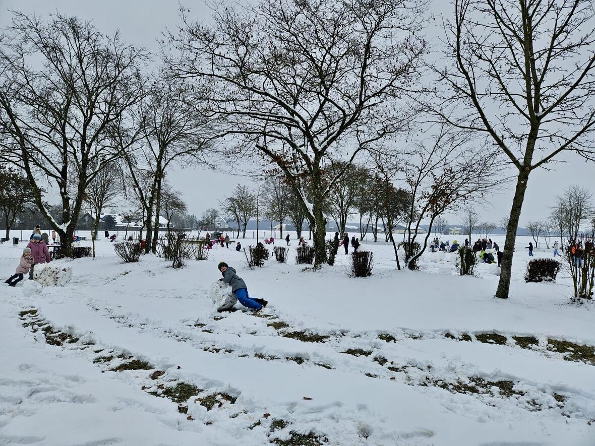 060dd51a-bfa7-4612-a2e3-ae74895d8396