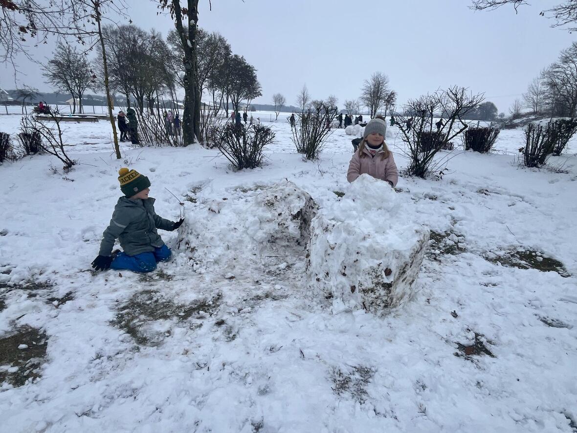 49954559-b656-47fc-8a7b-db29d04da1b1