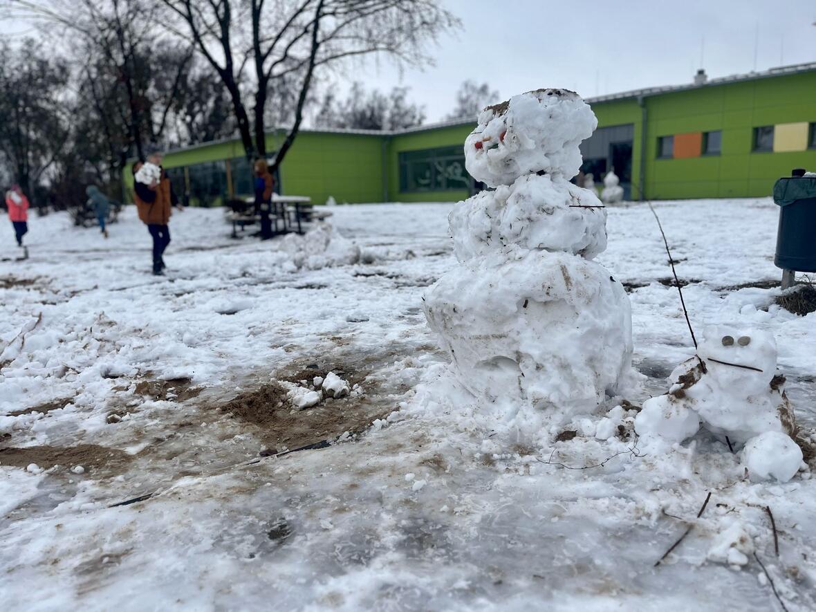 c94adc2d-bd86-4ed2-ba7e-fa8f073d903c