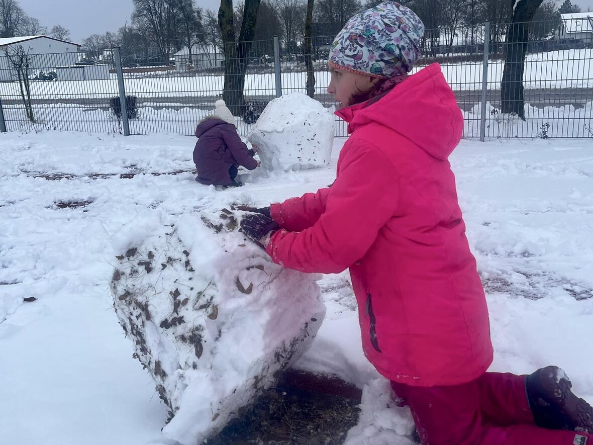 c1233593-8591-426d-ac84-03739bbd6a64