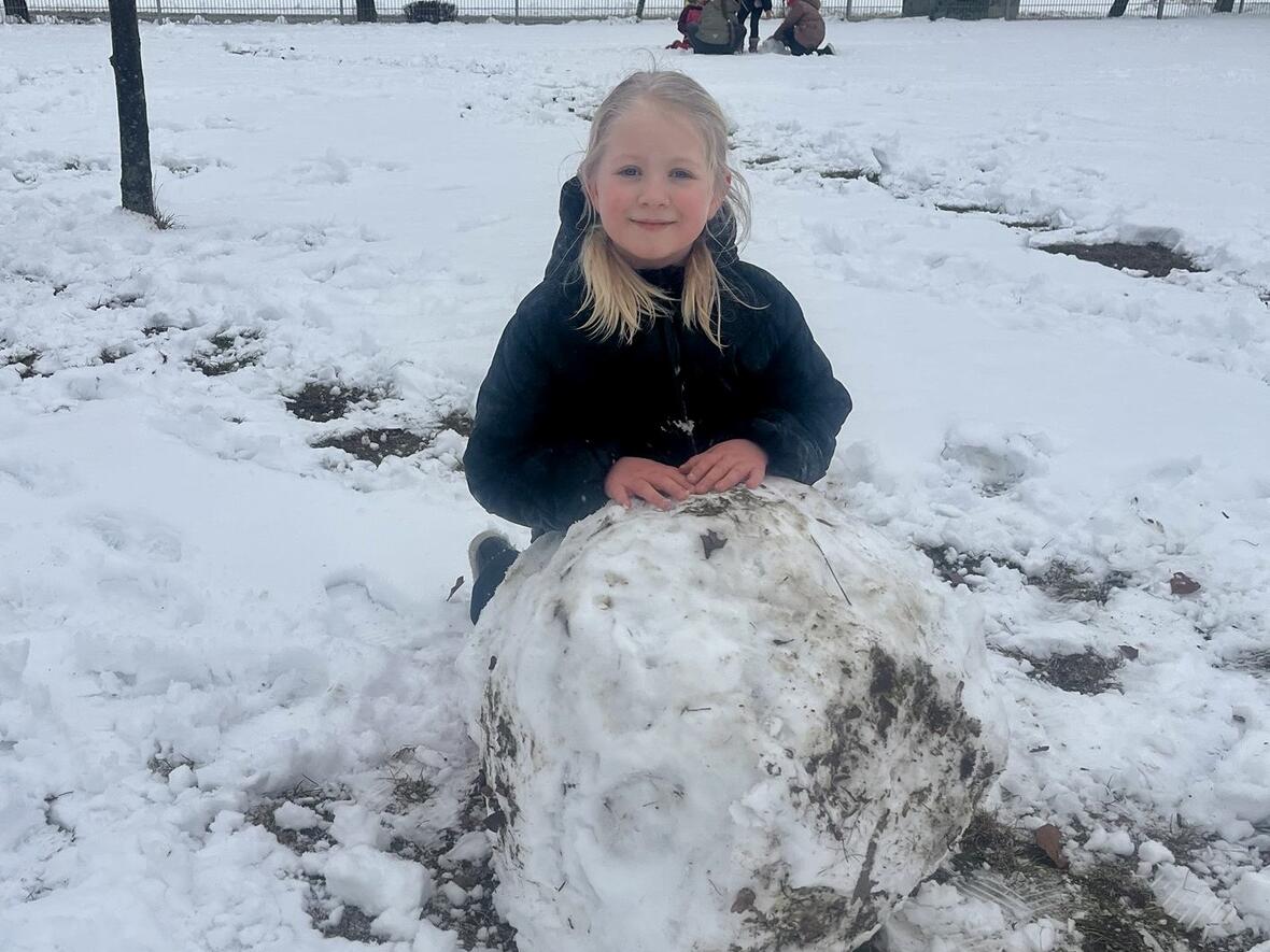 d2c631ee-7c6d-4815-bbda-efc411dbf17c