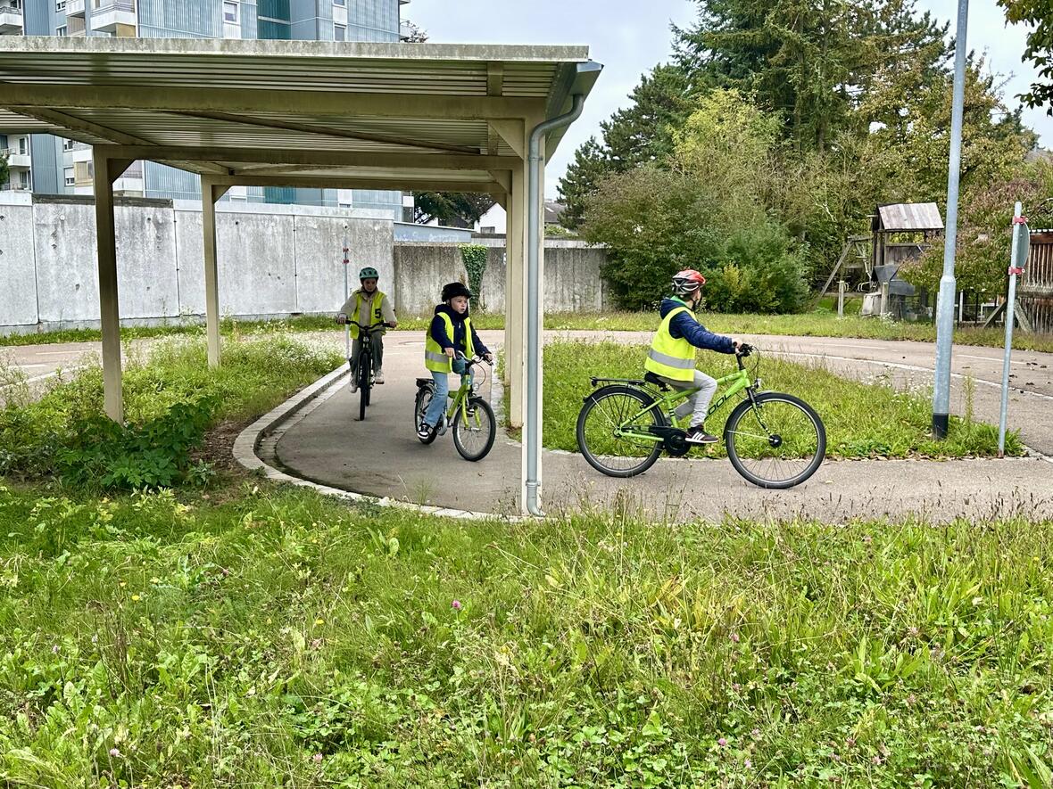 11a