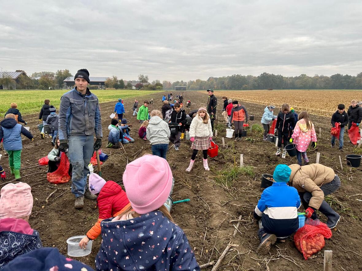 photo-2025-10-22-11-38-46-2