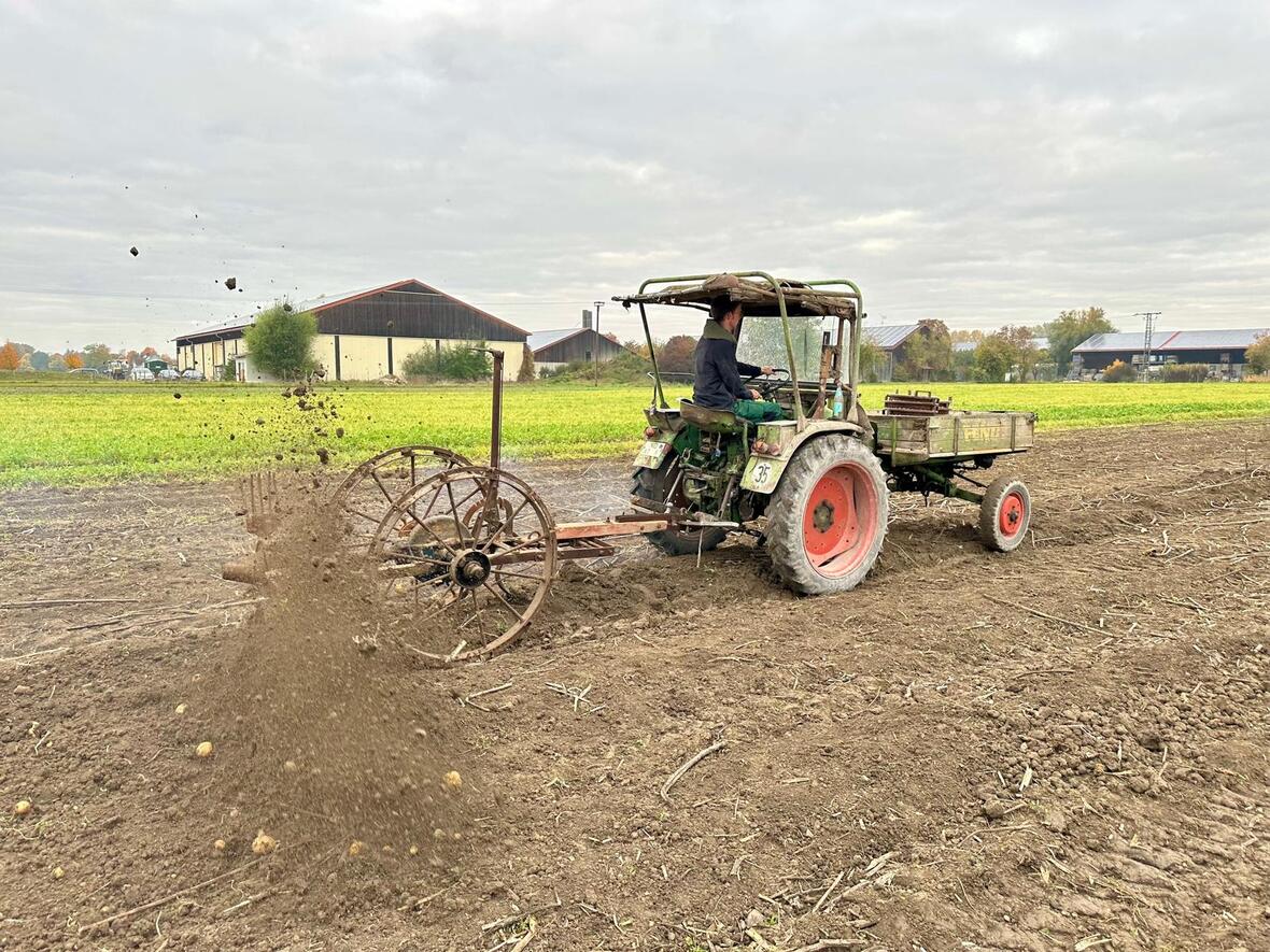 photo-2025-10-22-11-38-48-4