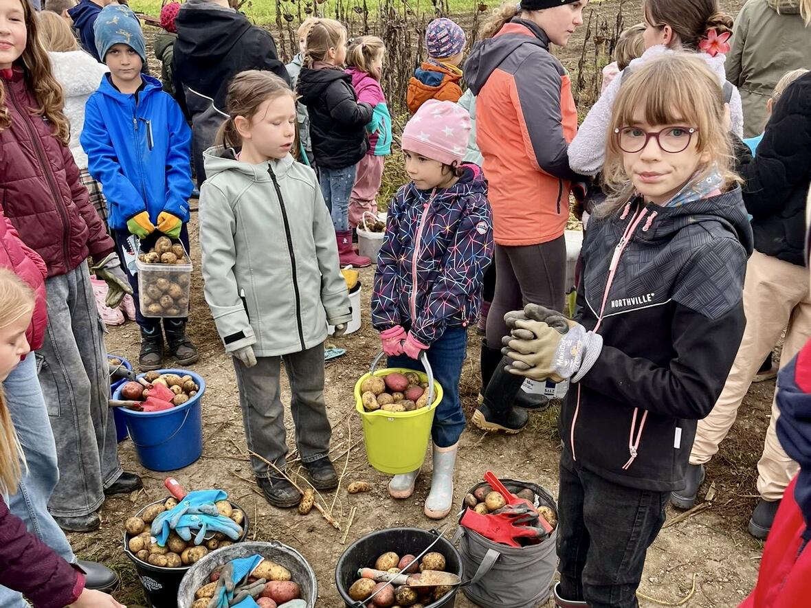 1a71ef1b-29dd-437a-98d7-751dcab823b3