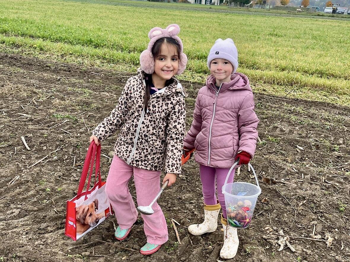 3b10a368-6889-481a-9500-5c67e6fe0c25