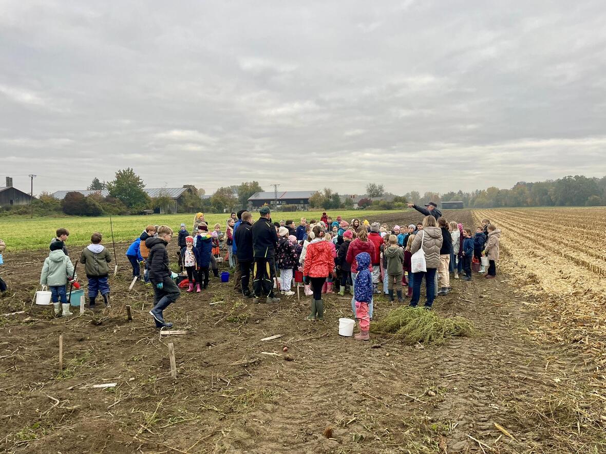 4a2345dd-9425-4ff7-b83b-8ca2e8bba21b