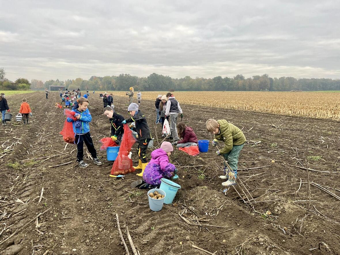 6ed20eaa-ca2b-4b71-9bda-bce0dc8a4fc2