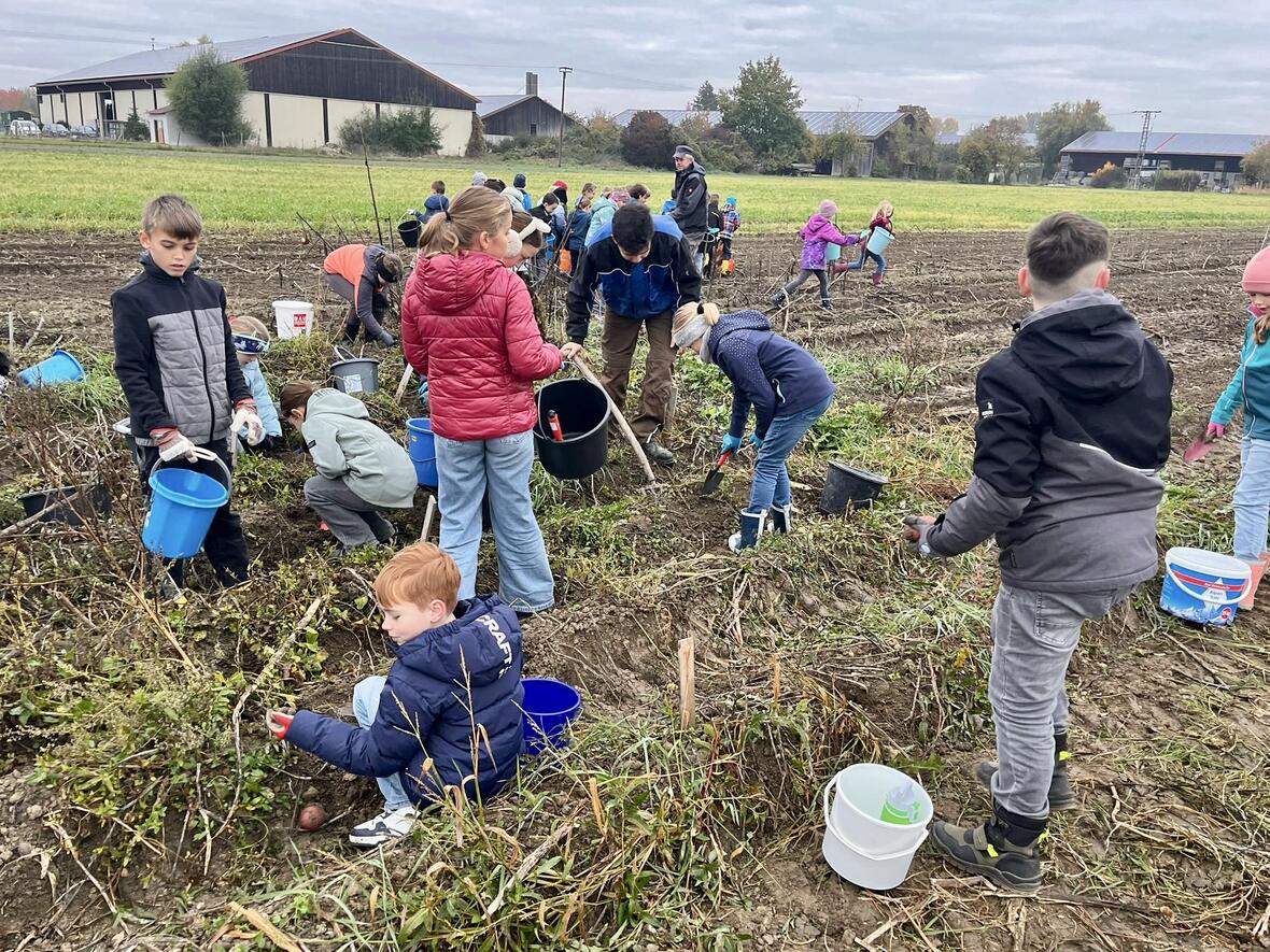 7f79d733-b1ce-4f73-8bb7-8652f4a34c07