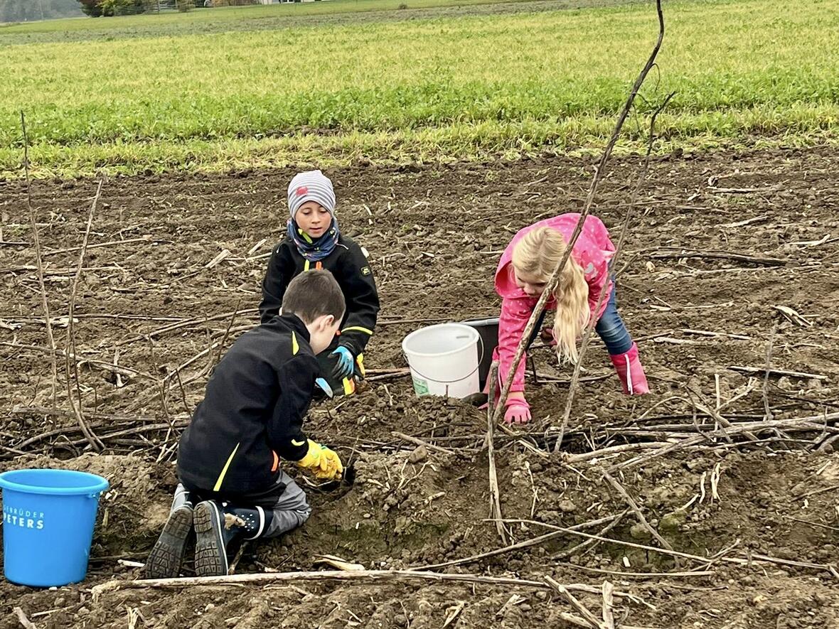 8deafcfe-67d8-46a7-b67f-7c9edc684457