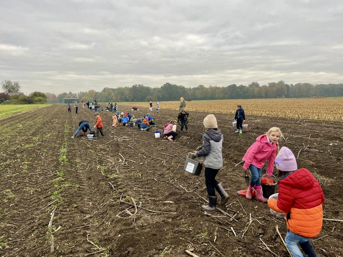 16daf128-3b8b-4690-b23d-b82af6d11483