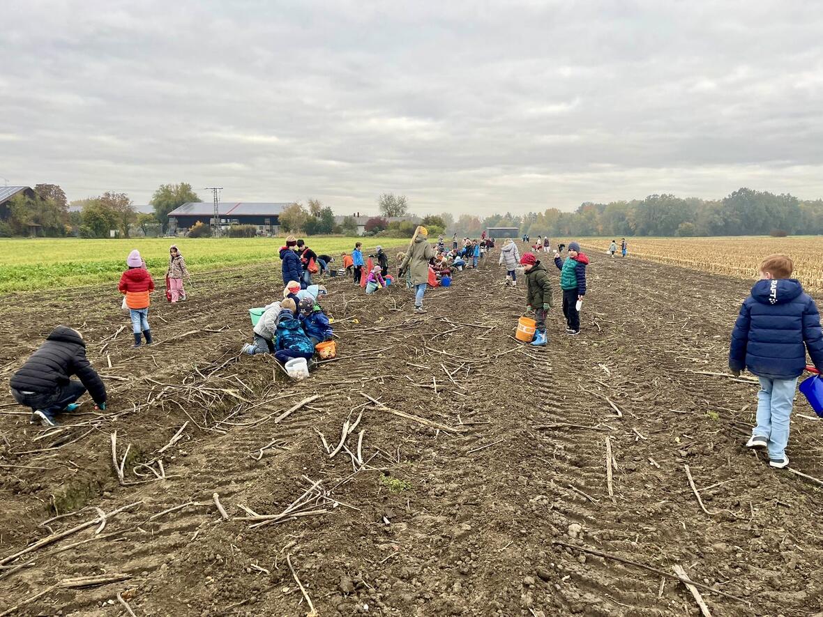 49a0e793-0700-40cf-ad10-cb01c43064e2