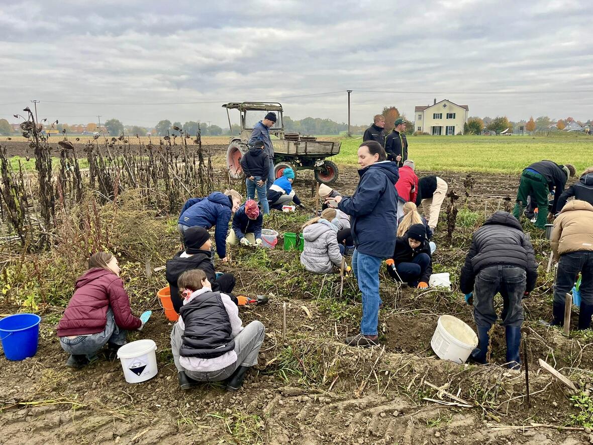 762fed3b-7103-4560-84a0-a33fed6a2822