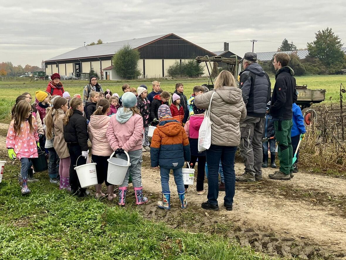 afae4376-6546-4bd6-9e97-713364f6dd8d