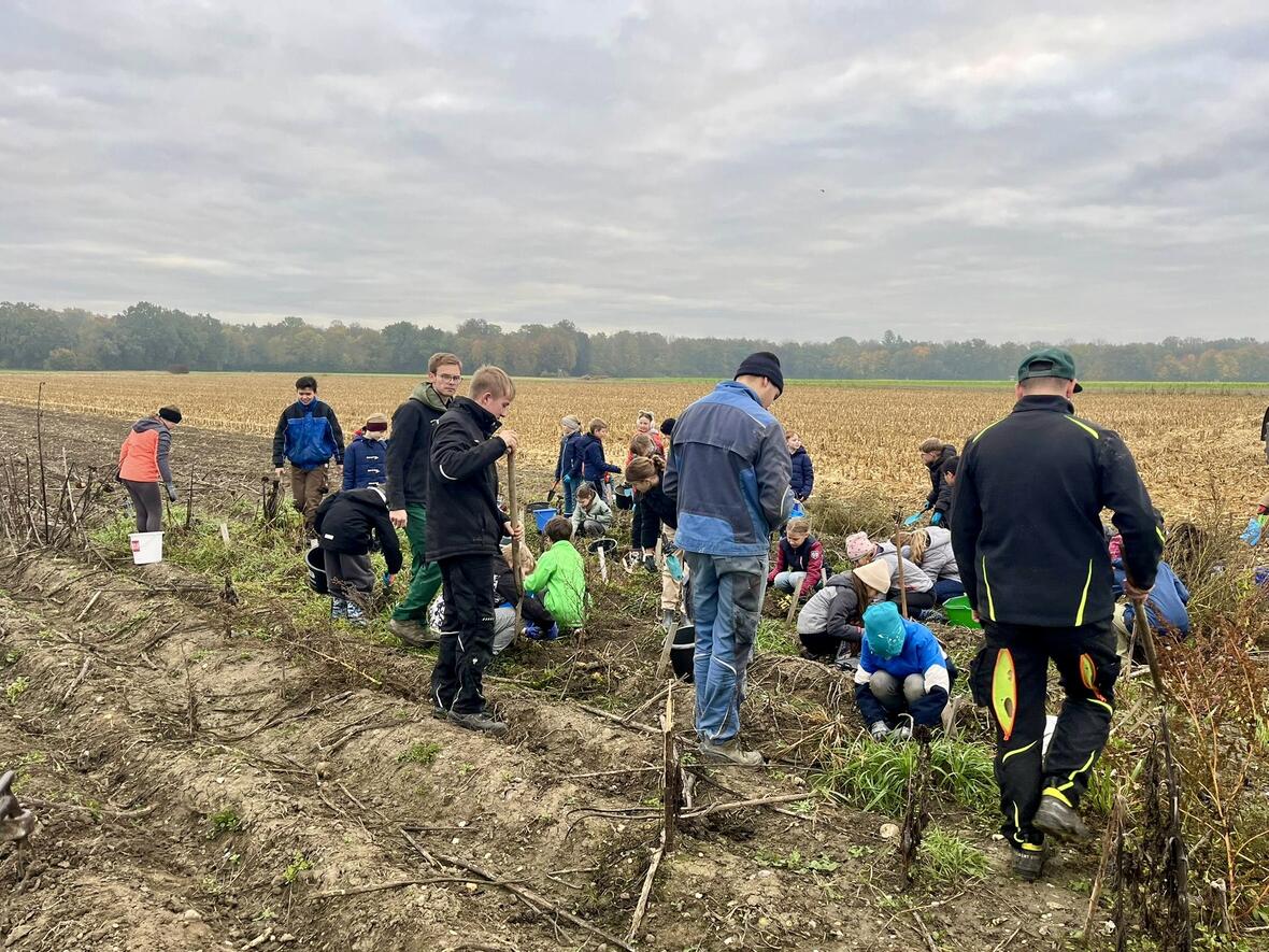 cfcf499f-0a5a-41a0-b94b-fbc8f1ebf156