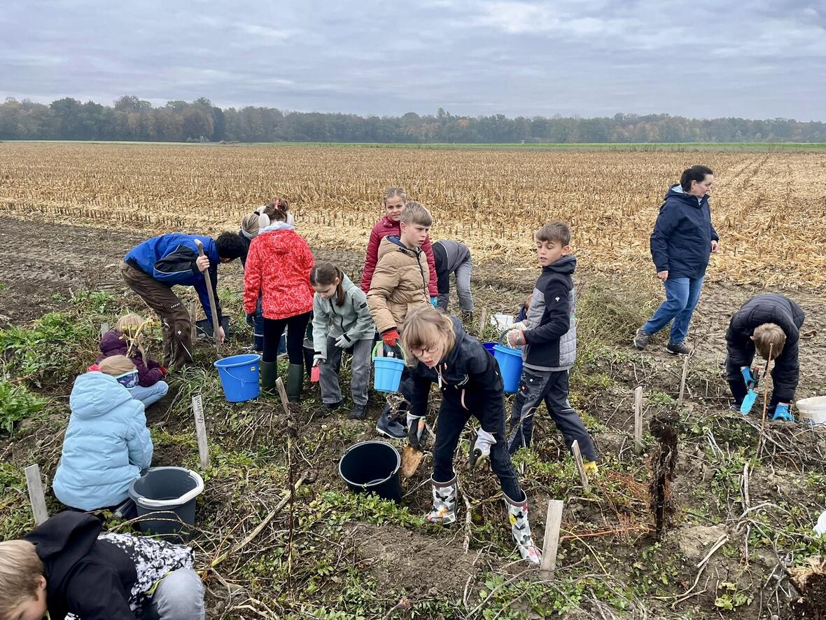 d3bbb020-6e06-4d97-9438-06c85e72e6bd