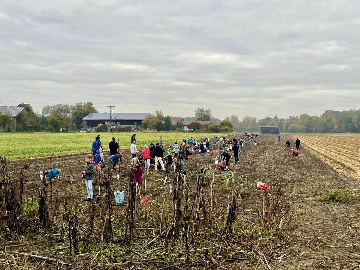 eee4b43e-3af5-438b-82db-030f684aada8