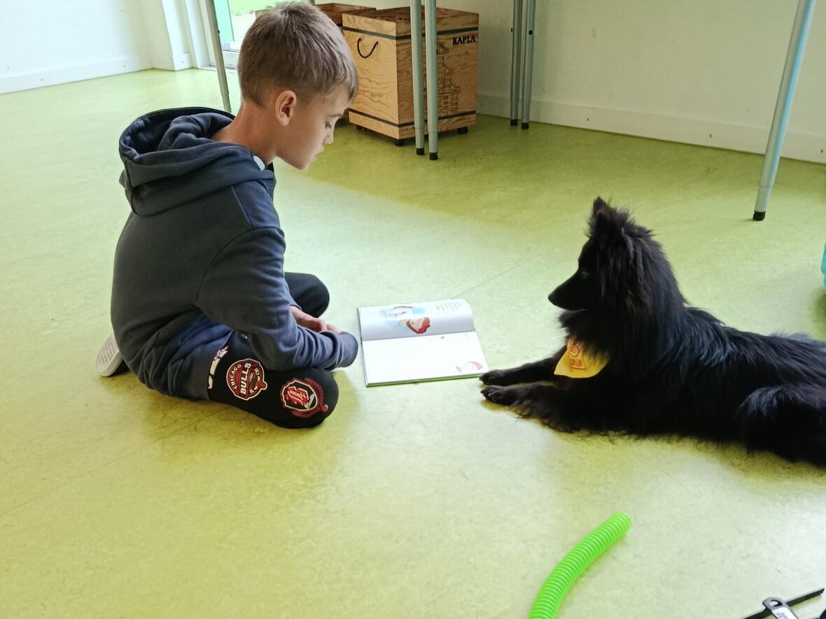 5a7ac2d6-0a29-45a4-bebf-7f647c0aecf7