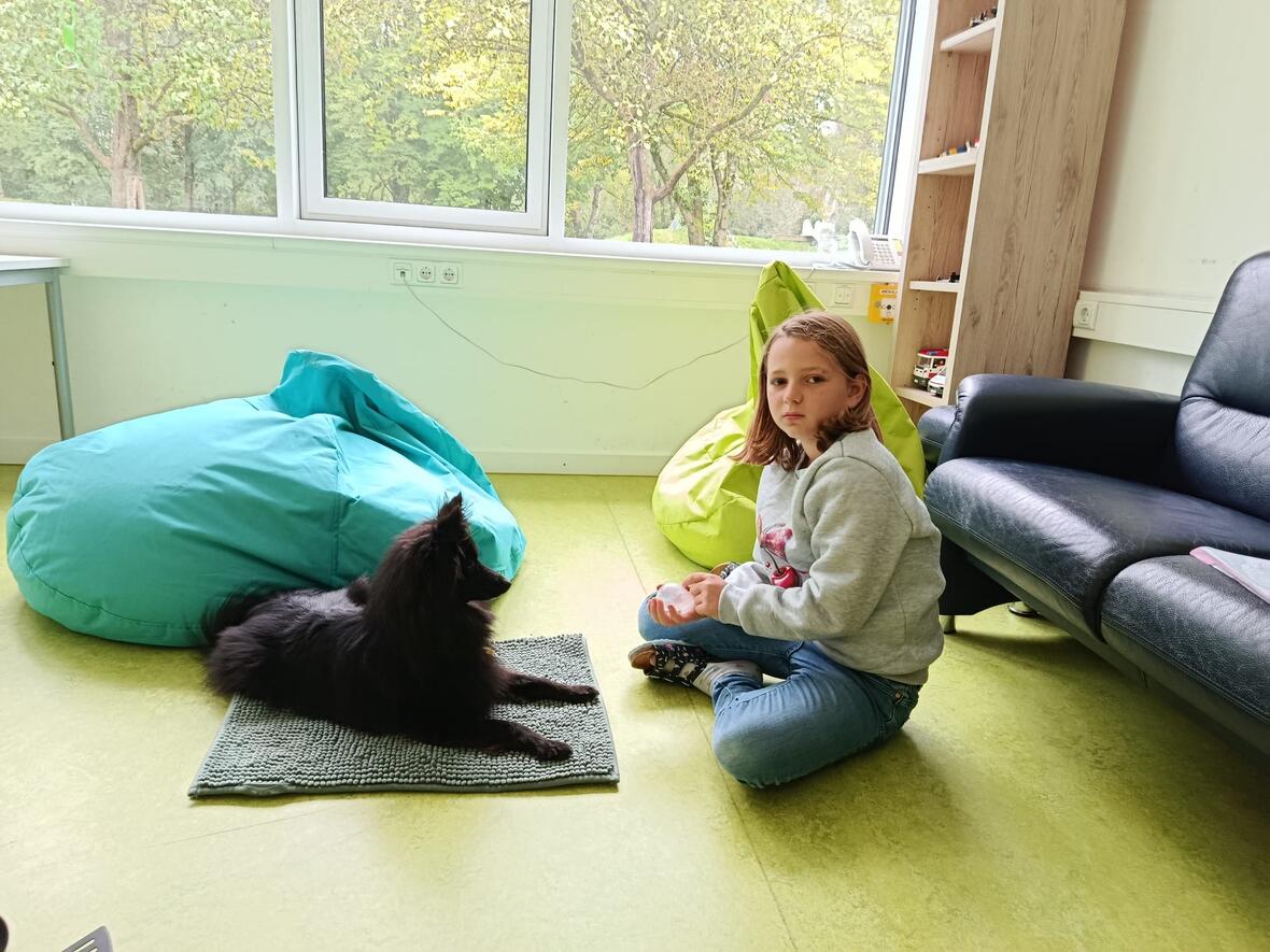 c8175947-1552-4ca7-bbc0-fef56c499c06