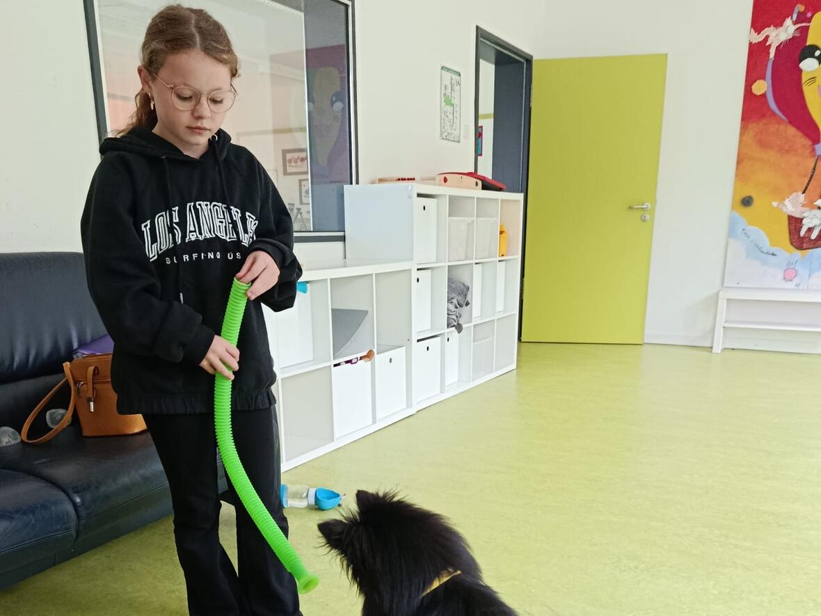 1da2b3a4-1f42-4716-9ac6-8fea9d16cdd1