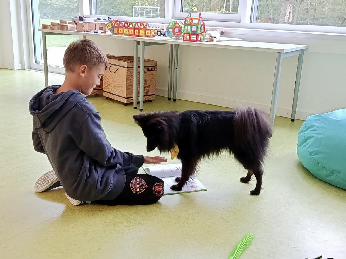 2a6288bb-f8d1-4ffb-9da2-c34f51f9009b